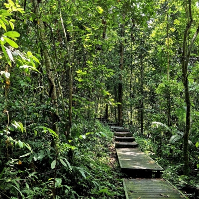 Taman Nasional Taman Negara